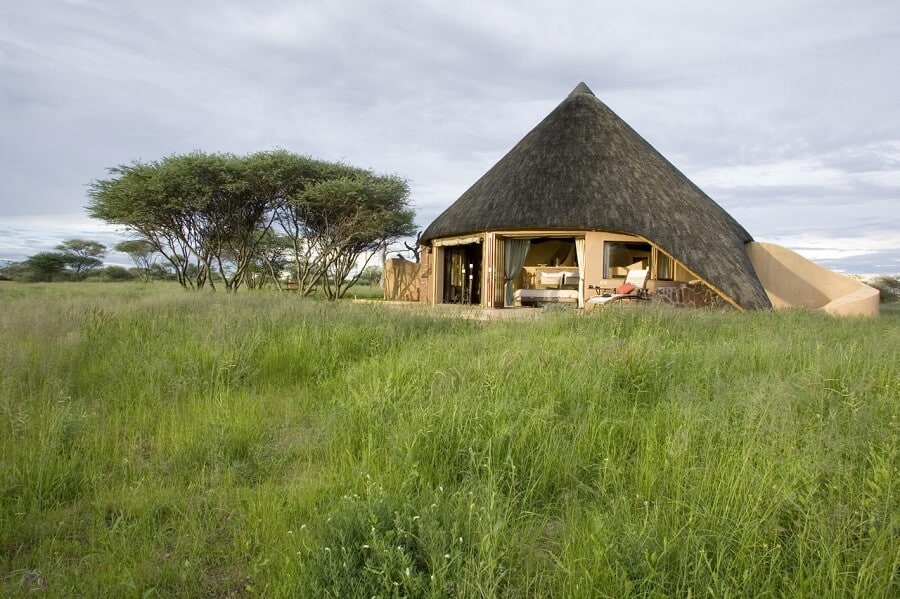 Okonjima Game Reserve