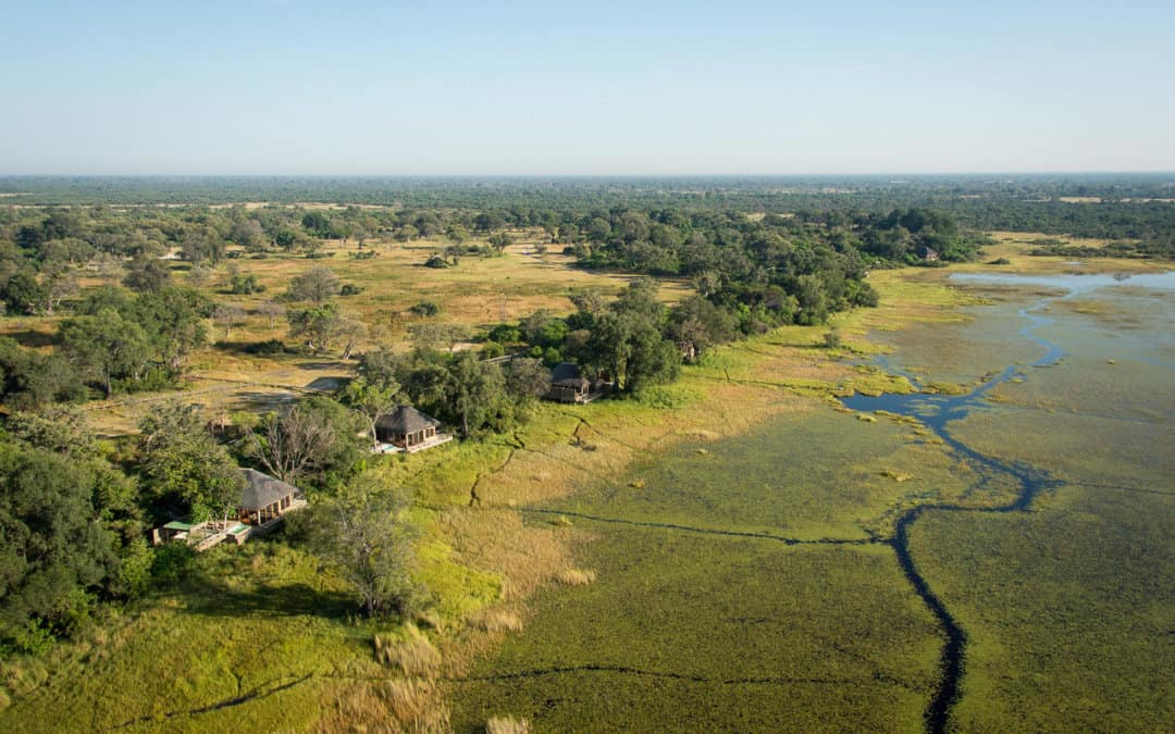 Vumbura Plains